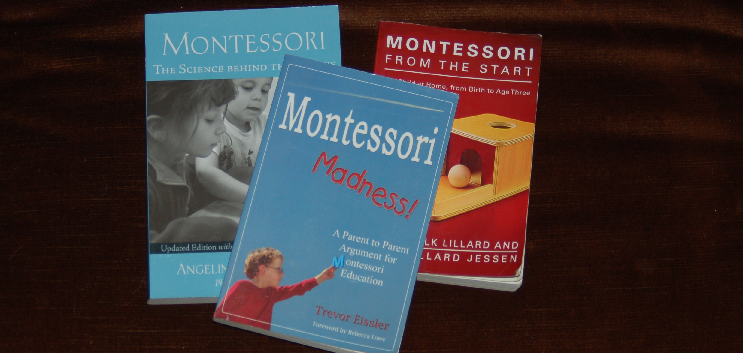 books about montessori education