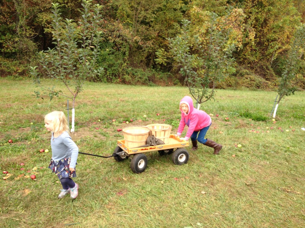 Apple picking and canning….catching up on fall