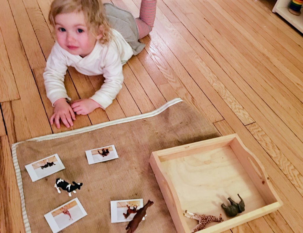 Toddler art lessons, updates and a field trip
